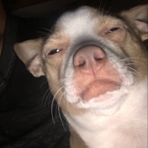 Meet your Posher, Donavon